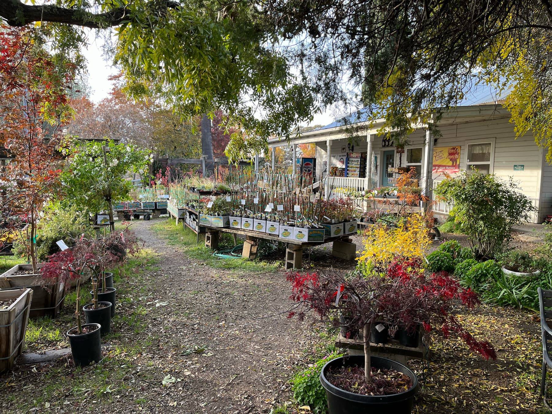 Garden Nursery in Yuba City, CA